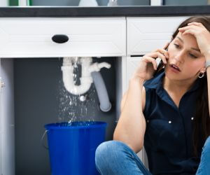 About Emergency plumbing pros Saint Thomas, ND